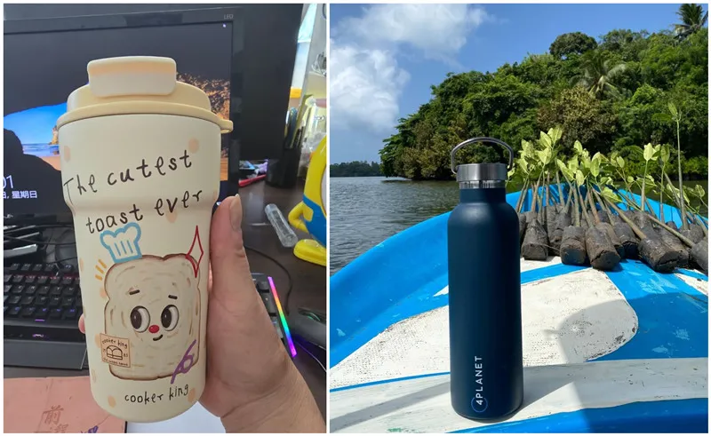 2025 Kejuaraan fina ing Singapura karo kita