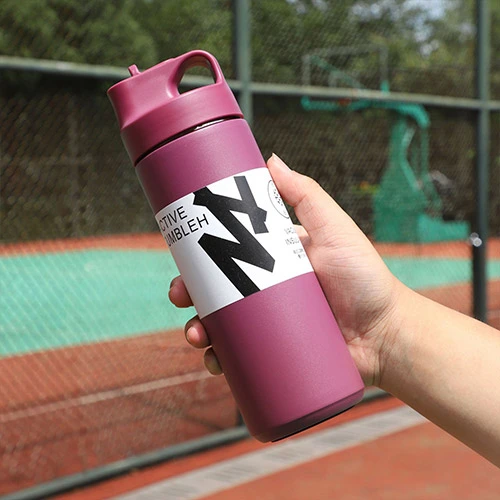 Stainless Steel Insulated Water Bottle