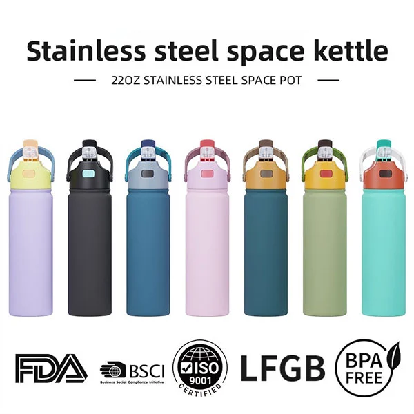 22oz Stainless Steel Space Bouncing Lid Flask